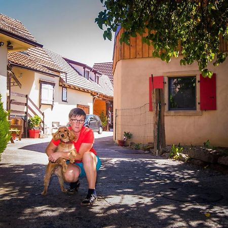 Au Murier Goxwiller Zewnętrze zdjęcie