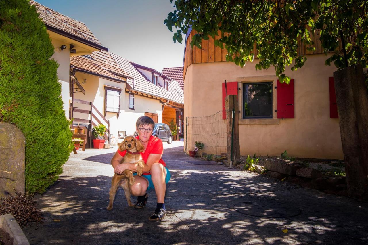 Au Murier Goxwiller Zewnętrze zdjęcie